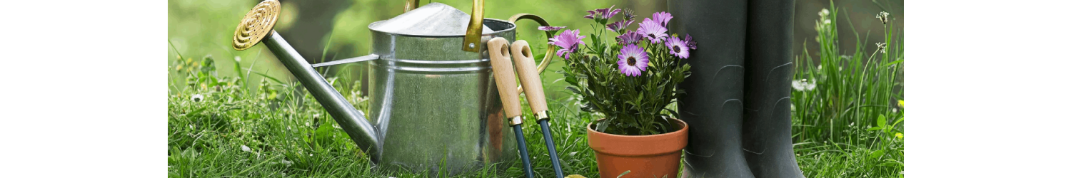 Home Gardening