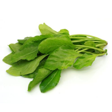 Palak - Organically Grown